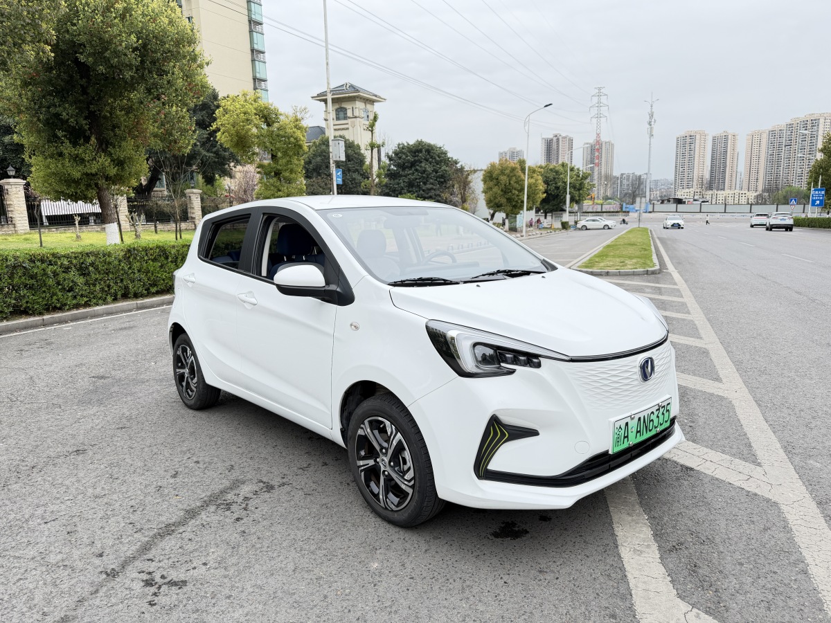 Changan BenBen E-Star 2024 imagen de coche #3
