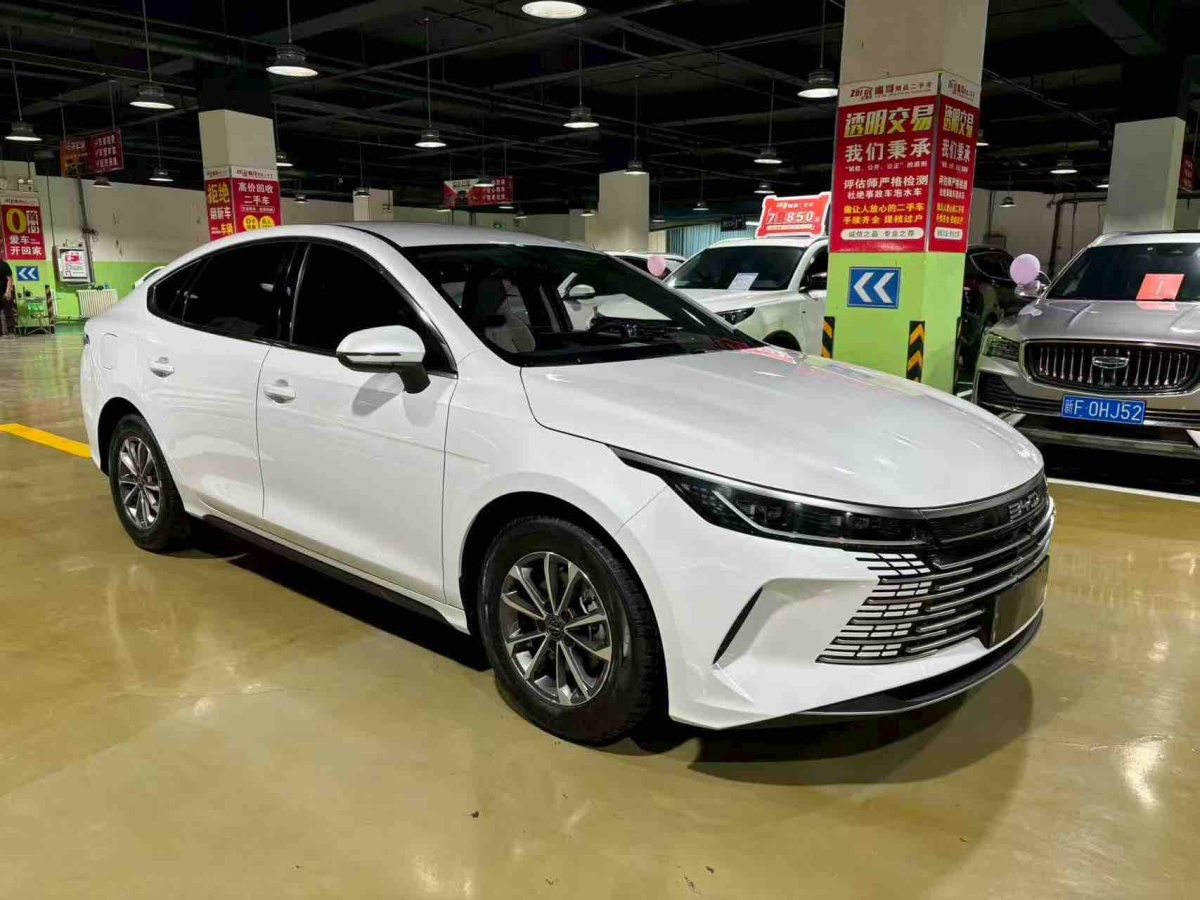 BYD Destroyer 05 2024 imagen de coche #3