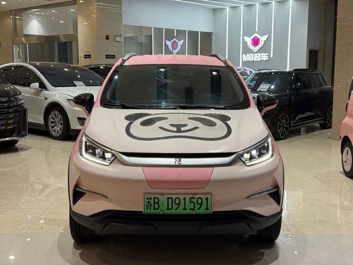 BYD Yuan Pro 2022 immagine di auto #3