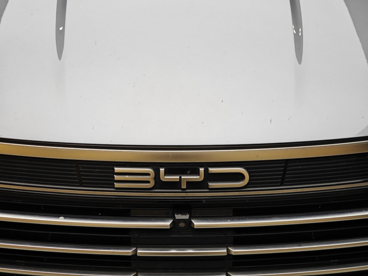 BYD Destroyer 05 2022 car image #3