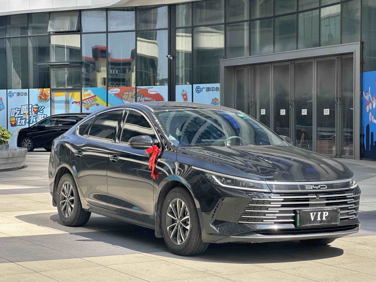 BYD Destroyer 05 2024 imagen de coche #3