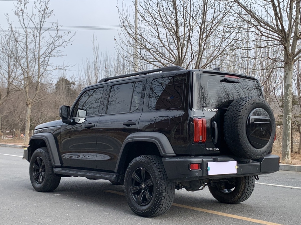 Tank 300 2021 car image #3