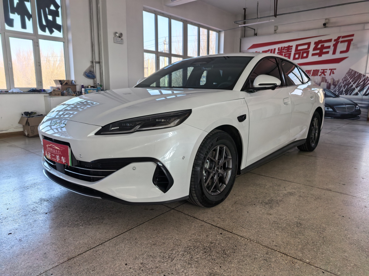 BYD Seal 06 New Energy 2025 immagine di auto #3