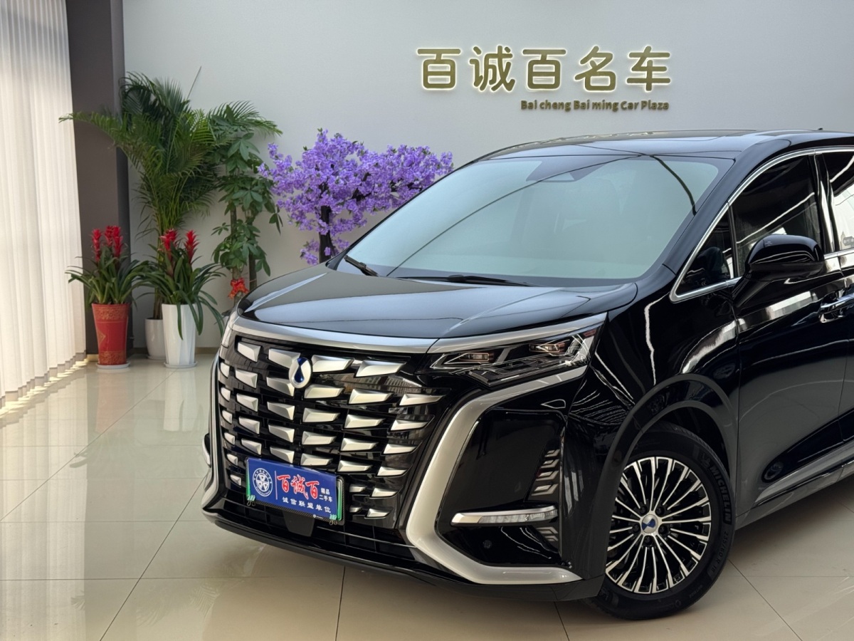 Denza D9 2023 image de voiture #3