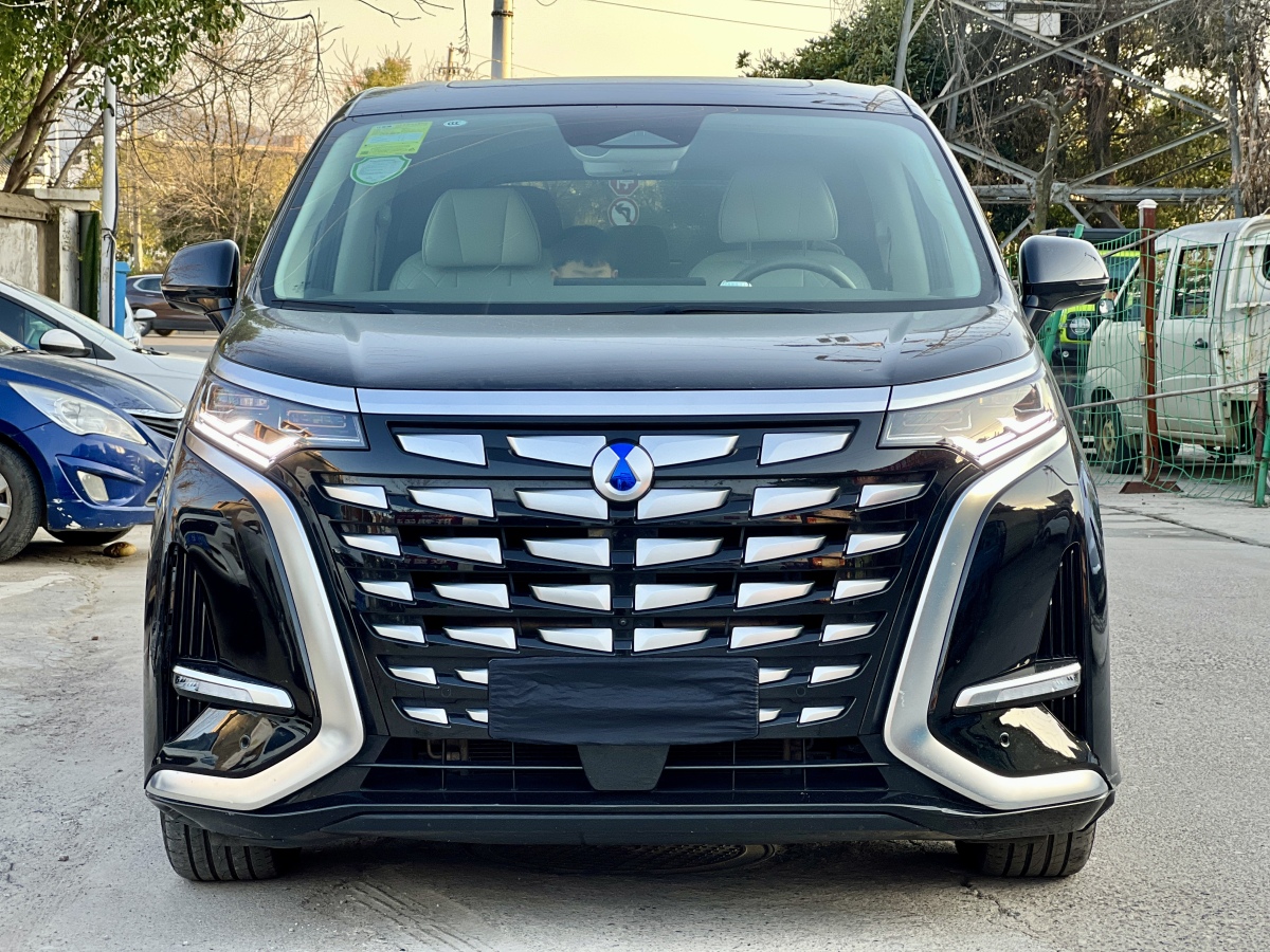 Denza D9 2023 image de voiture #3