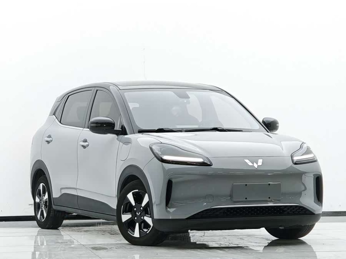 五菱汽车 五菱缤果PLUS 2024 汽车图片 #3