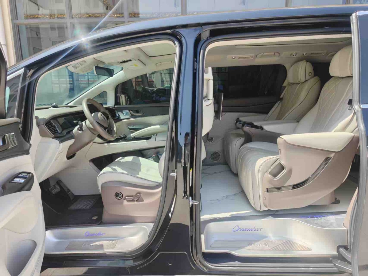 Denza D9 2023 imagem de carro #3