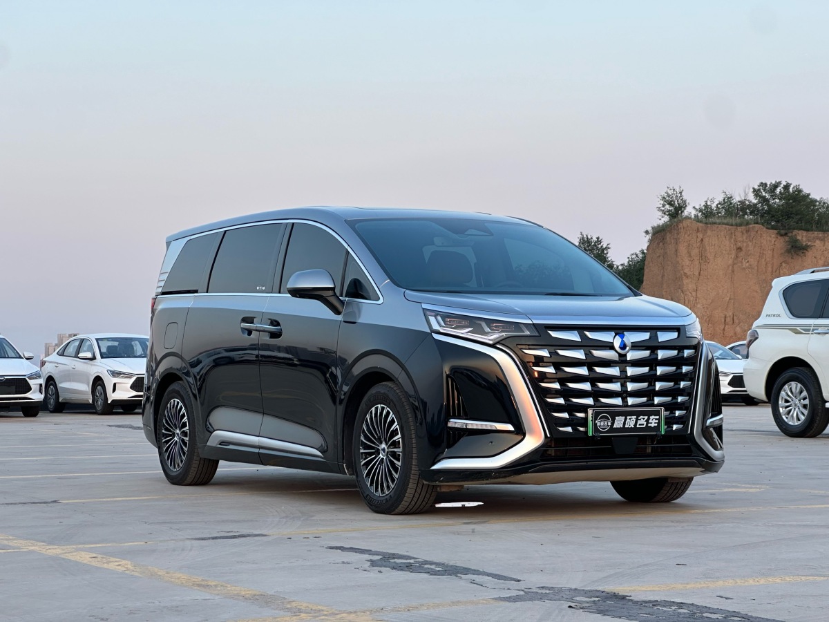 Denza D9 2023 imagem de carro #3