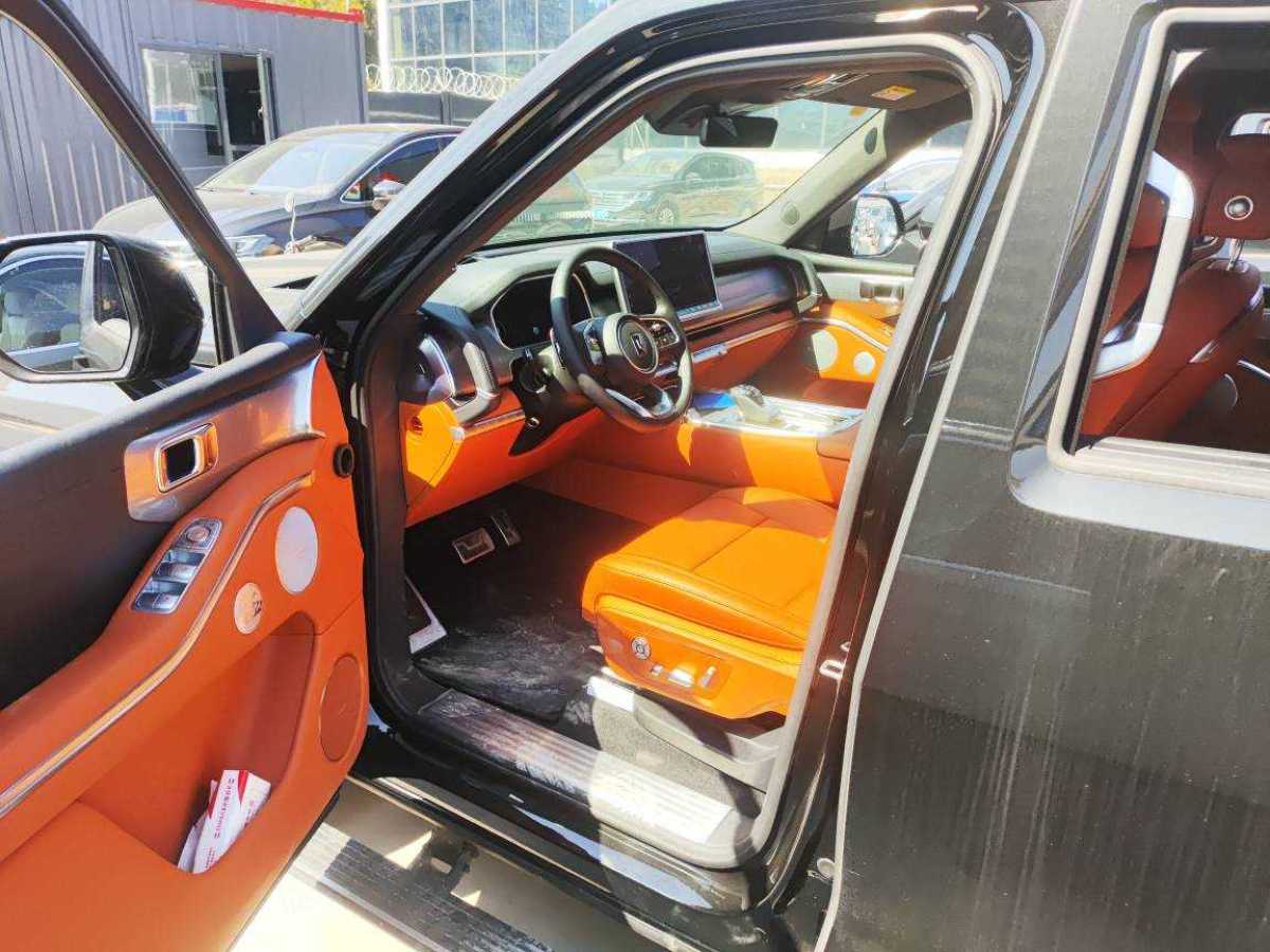 Tank 700 New Energy 2024 imagem de carro #3