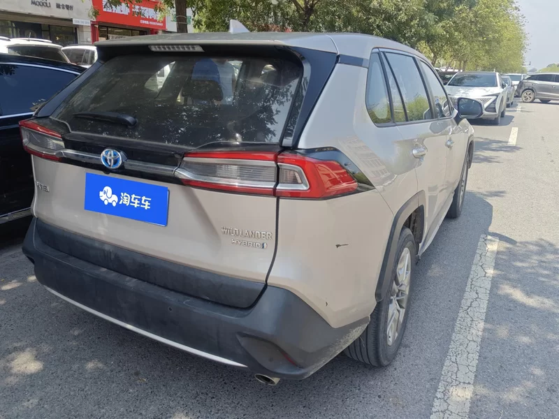 Toyota Wildlander 2020 imagem de carro #3