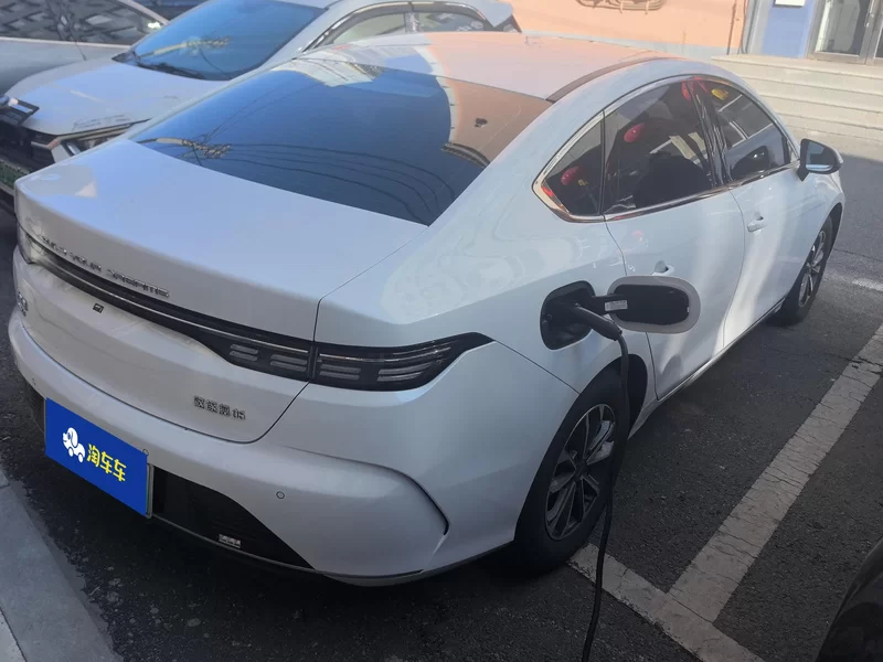 BYD Destroyer 05 2024 imagen de coche #3