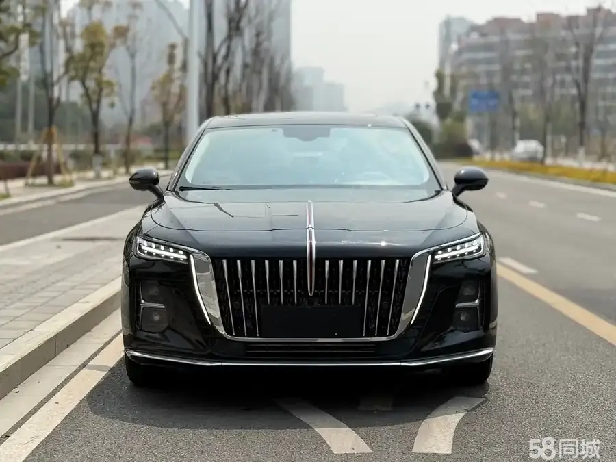 HongQi H5 2023 #3 HongQi H5 2023 immagine di auto #3