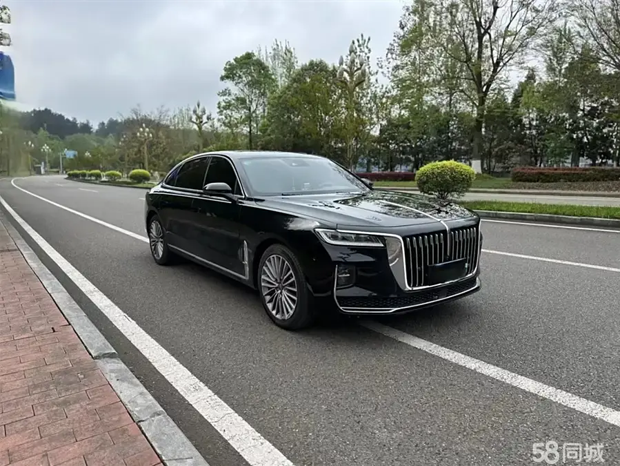 HongQi H9 2020 #3 HongQi H9 2020 immagine di auto #3