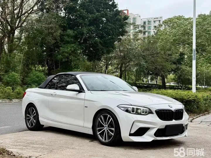 BMW 2 Series (Imported) 2018 car image #3