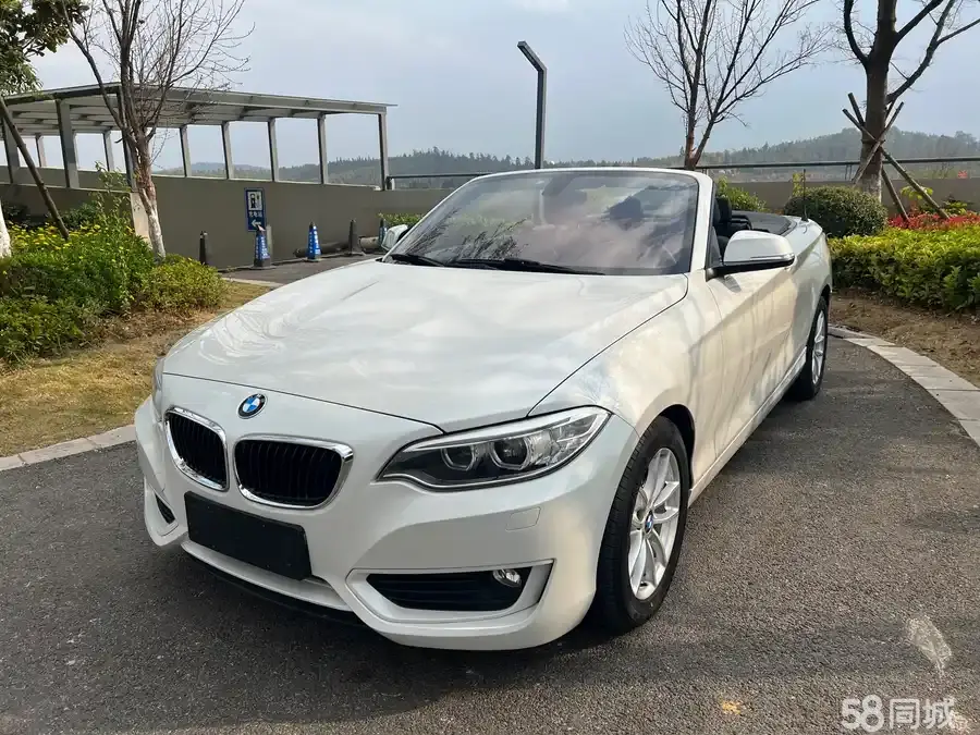 BMW 2 Series (Imported) 2016 #3 BMW 2 Series (Imported) 2016 изображение автомобиля #3