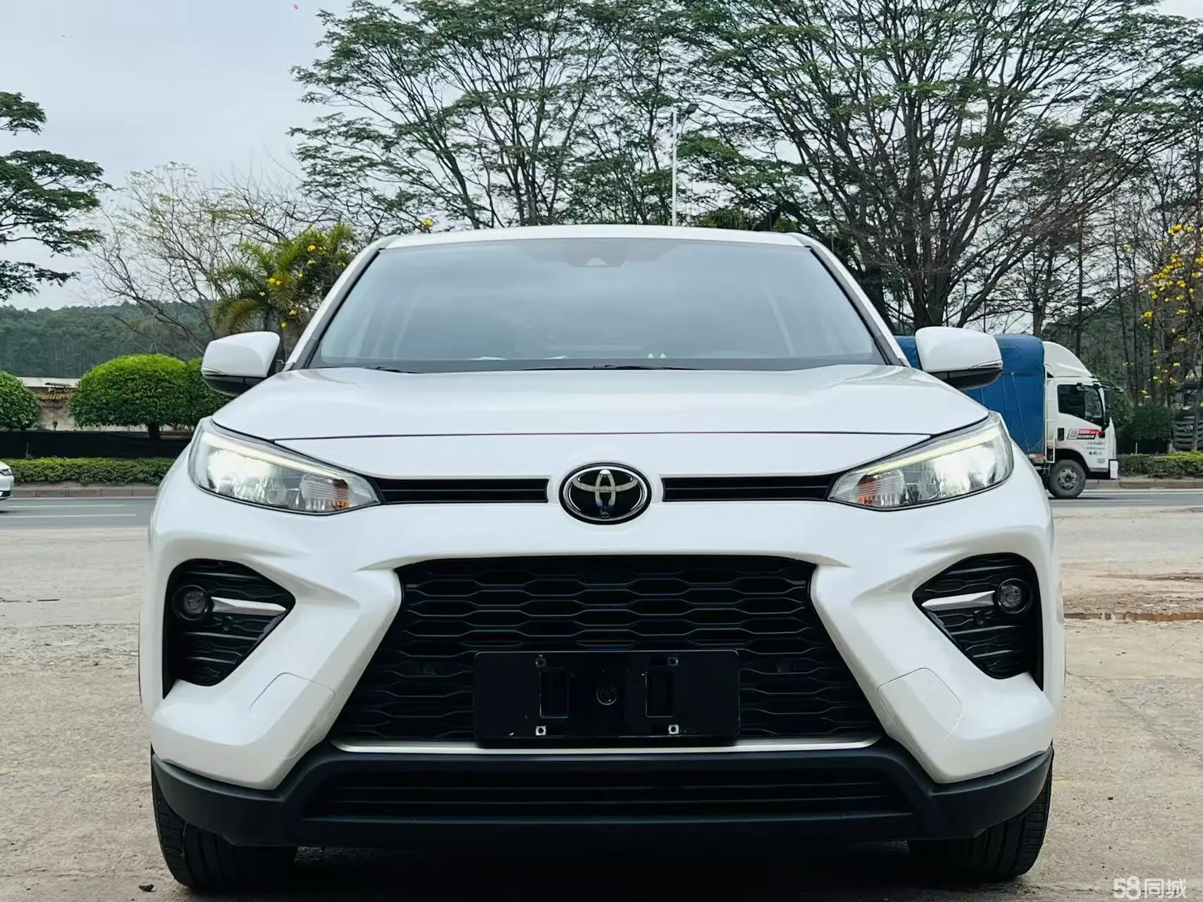 Toyota Wildlander 2021 imagem de carro #3
