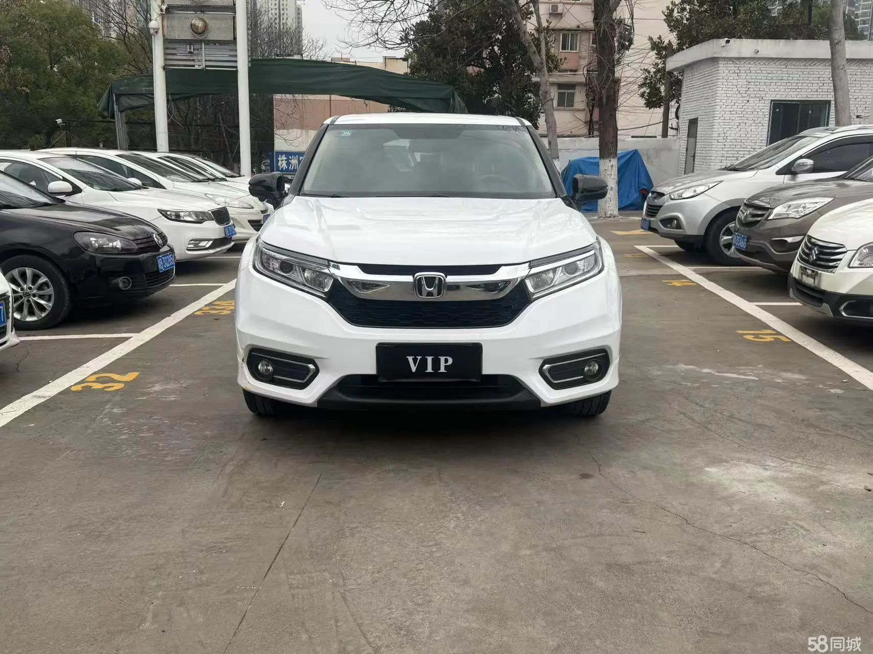 Honda Avancier 2017 #3 Honda Avancier 2017 صورة سيارة #3