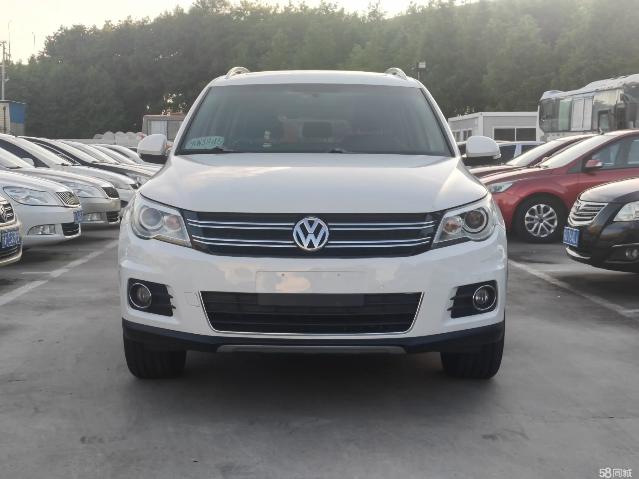 Volkswagen Tiguan 2010 #3 Volkswagen Tiguan 2010 car image #3