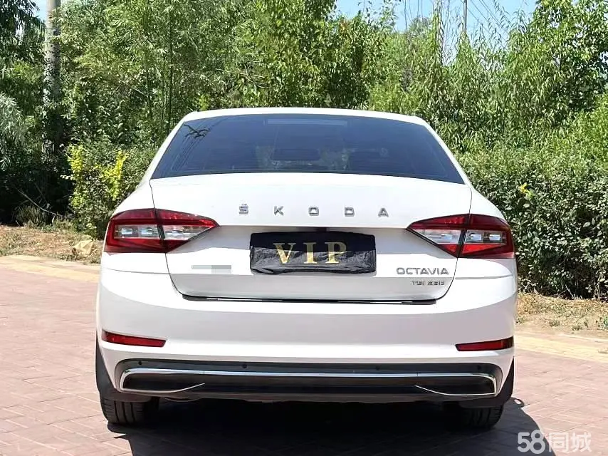 Skoda Octavia 2020 изображение автомобиля #3