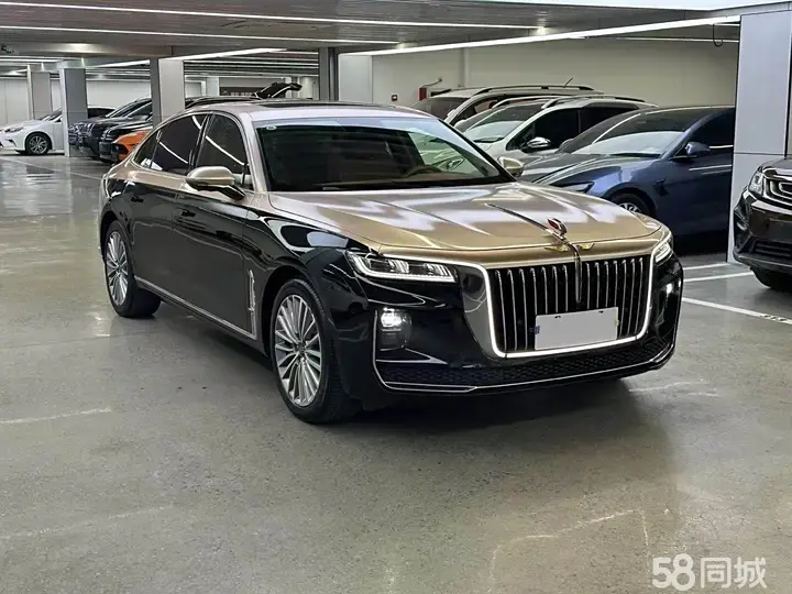 HongQi H9 2021 car image #3