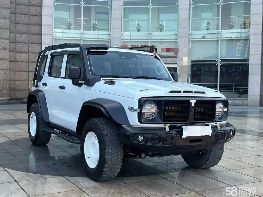 Tank 300 2024 immagine di auto #3