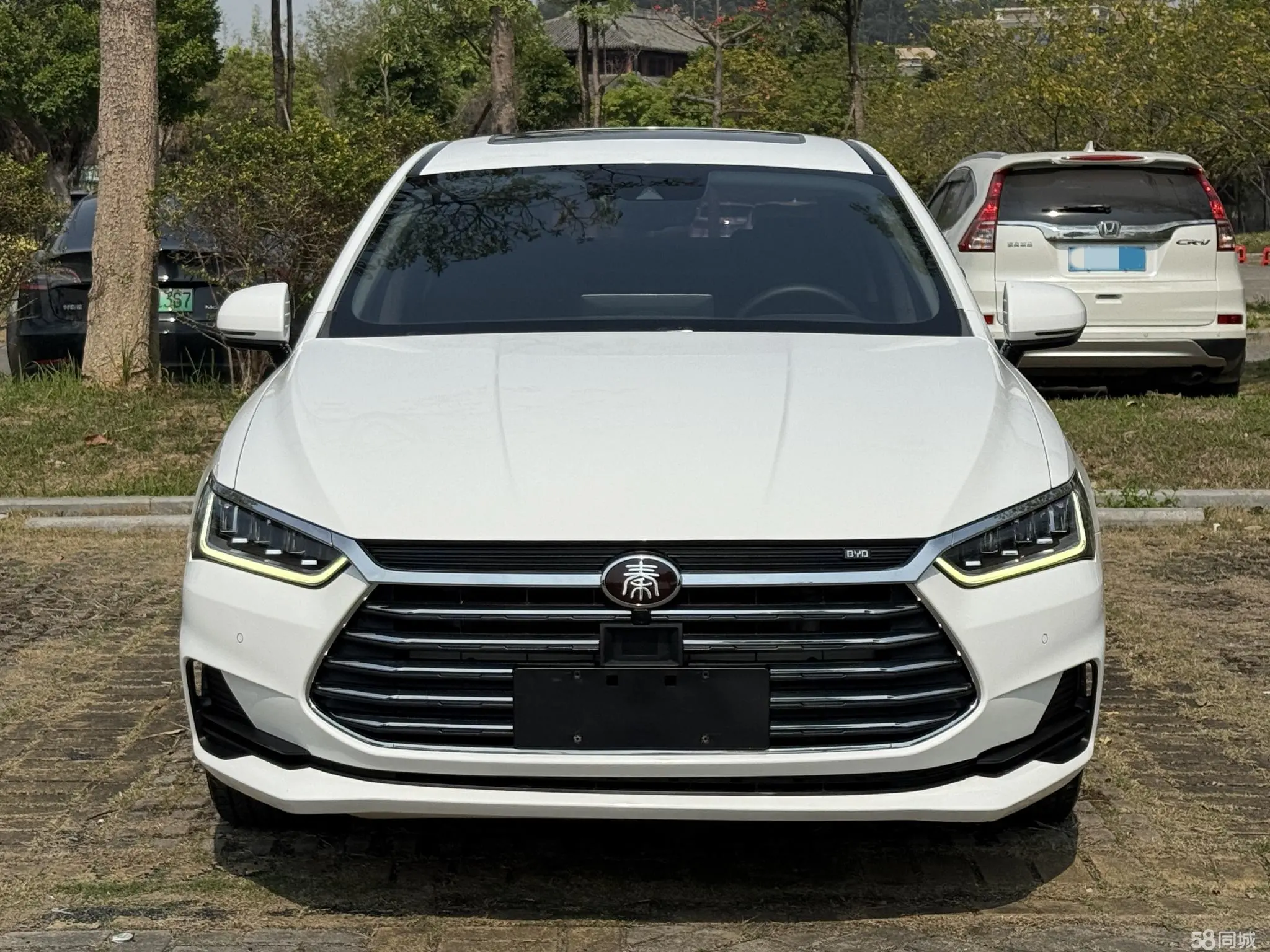 BYD Qin Pro 2019 car image #3