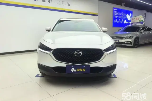 Mazda CX-30 EV 2020 imagen de coche #3