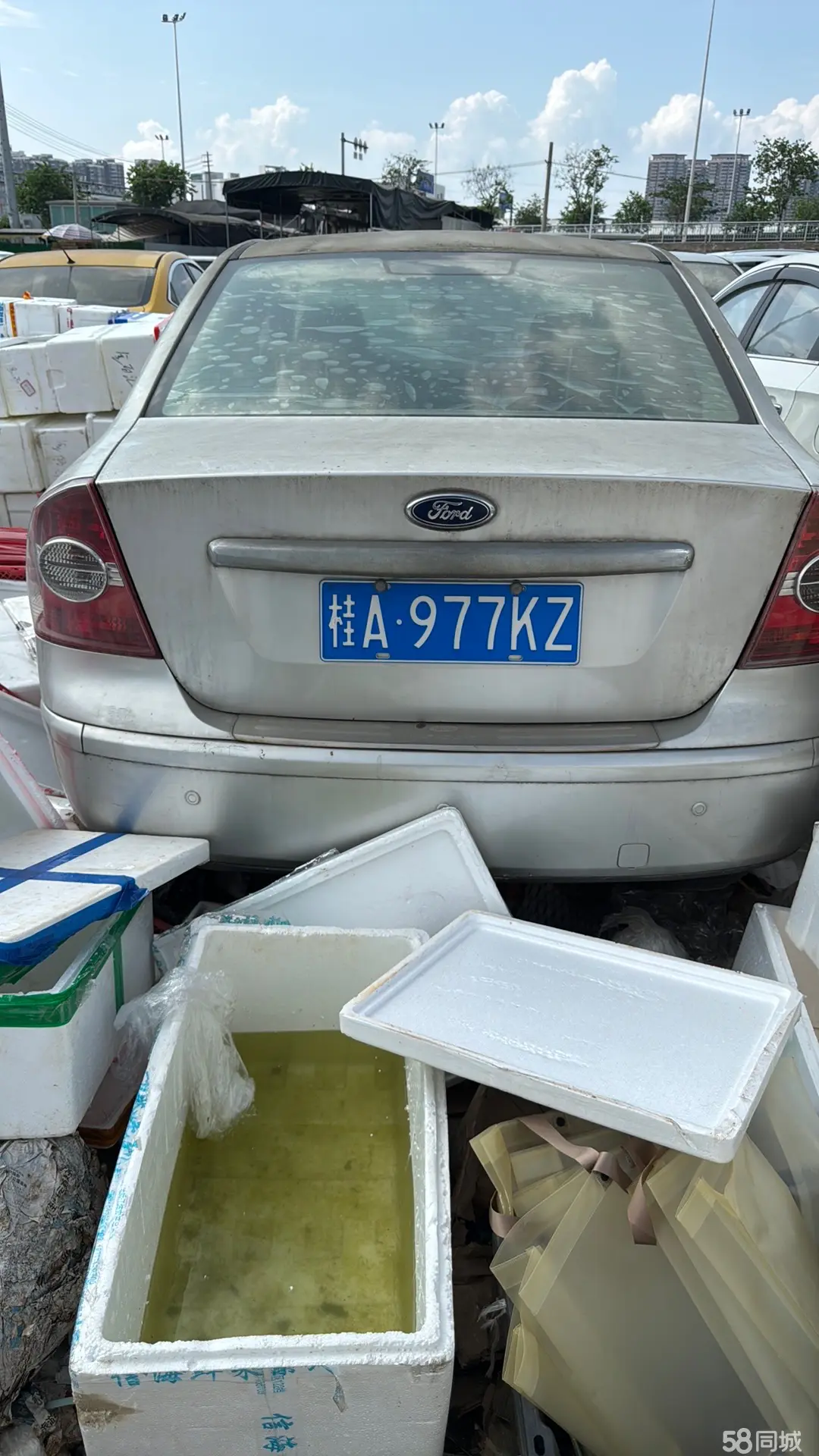 Ford Focus 2006 car image #3