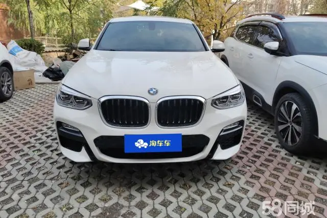 BMW X4 2019 car image #3
