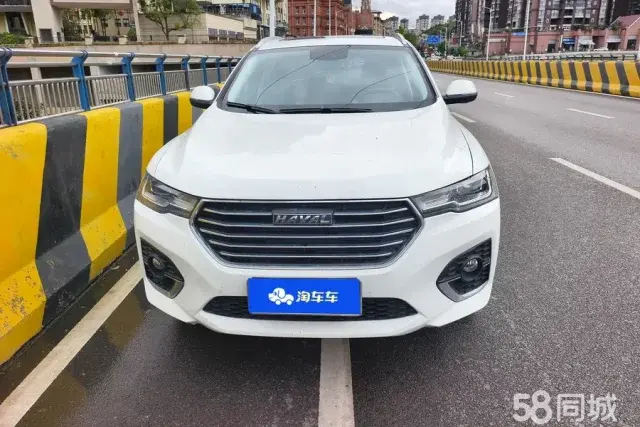 Haval H4 2020 #3 Haval H4 2020 car image #3