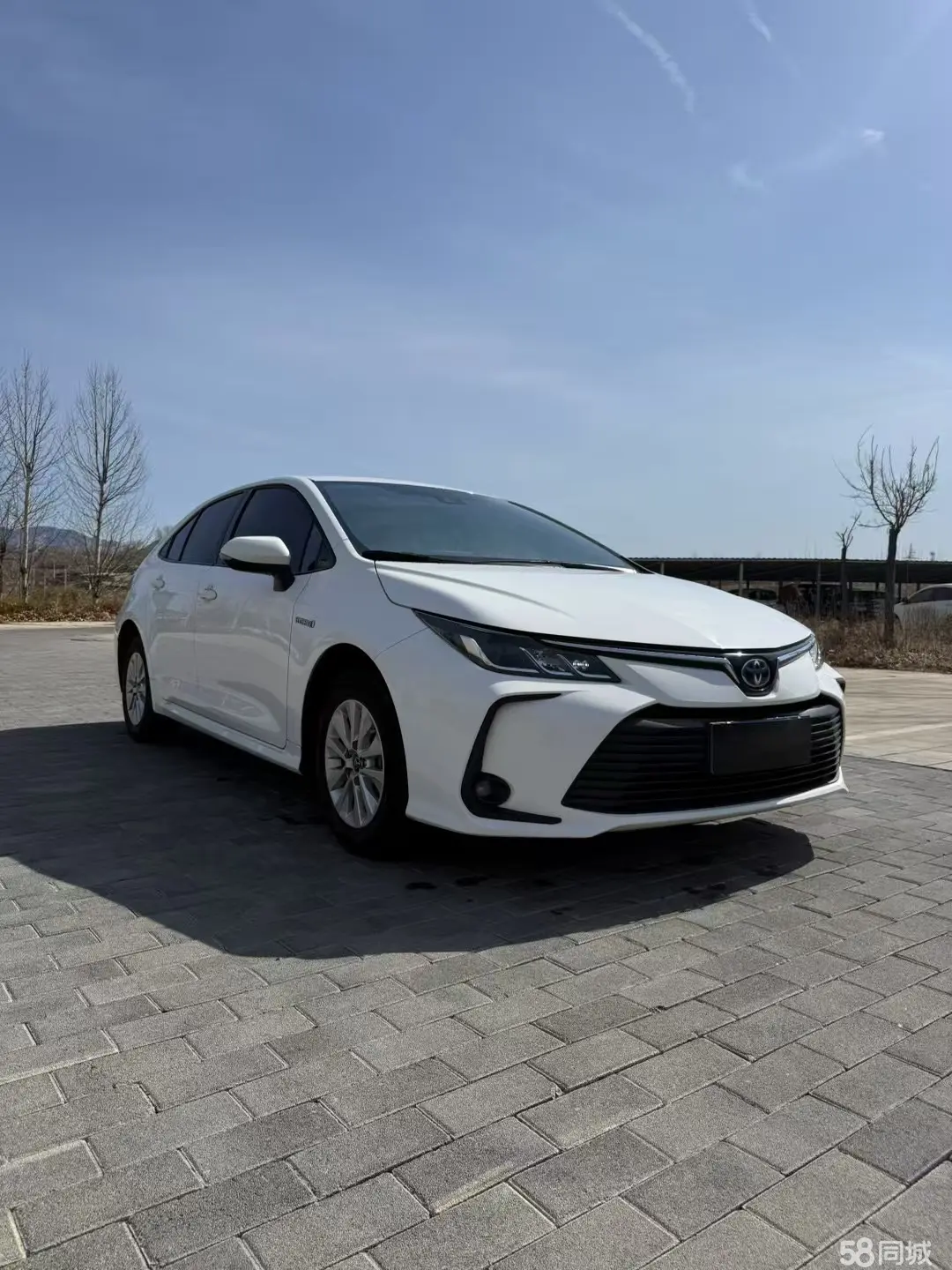 Toyota Corolla 2022 #3 Toyota Corolla 2022 car image #3