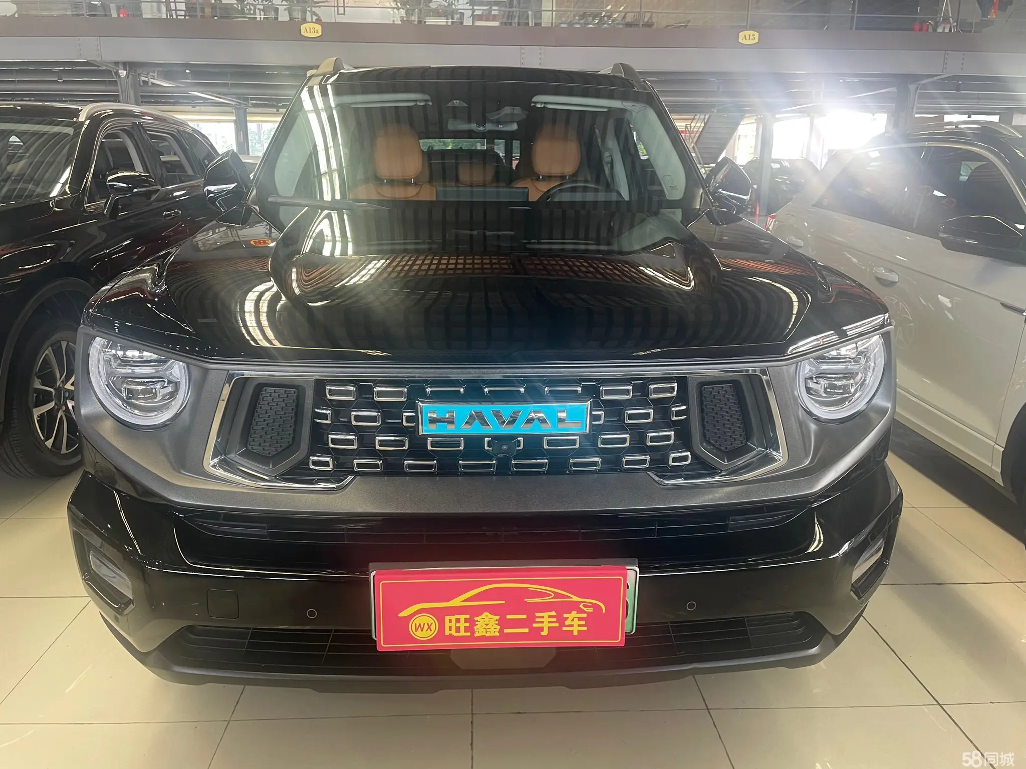 Haval X Dog 2 New Energy 2024 car image #3