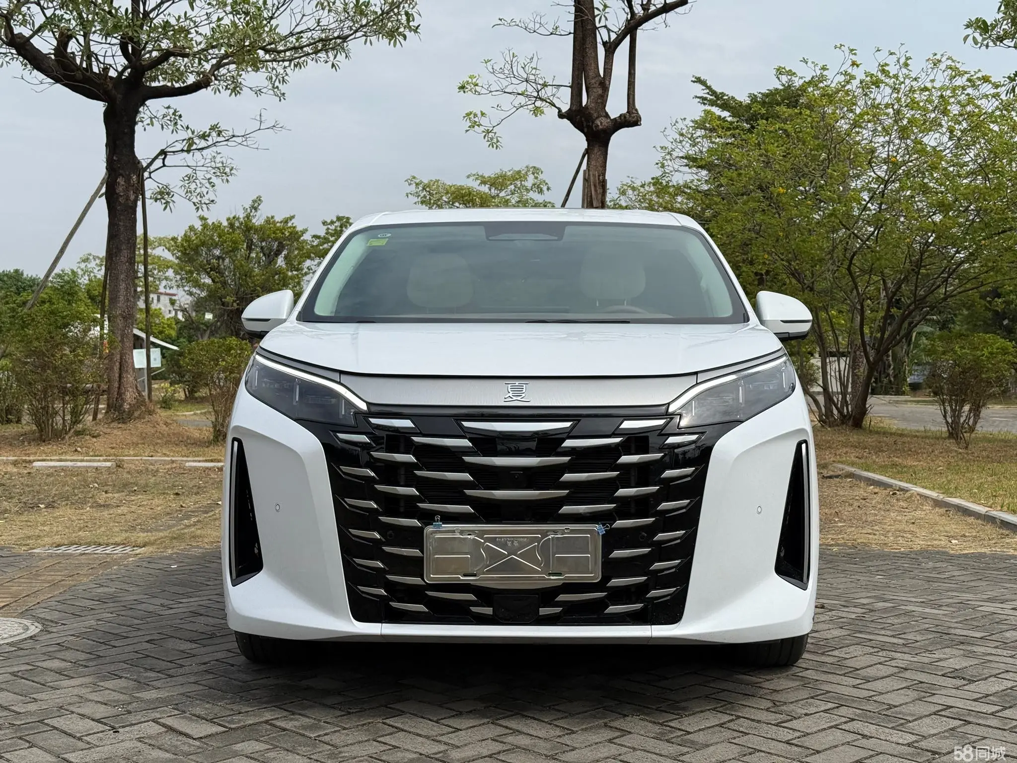 BYD Xia 2024 car image #3