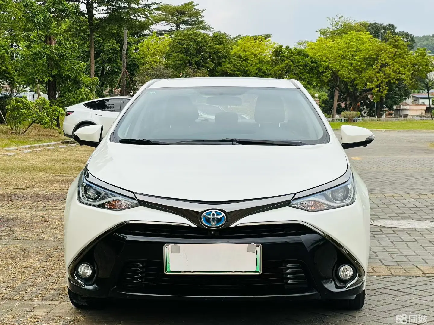 Toyota Levin Hybird E+ 2019 car image #3