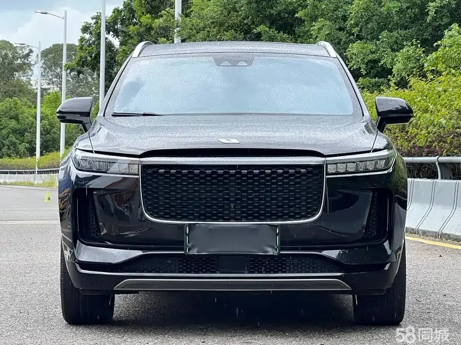 Li i6 2020 immagine di auto #3