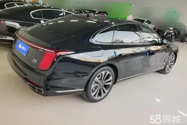 HongQi H9 2024 #3 HongQi H9 2024 car image #3