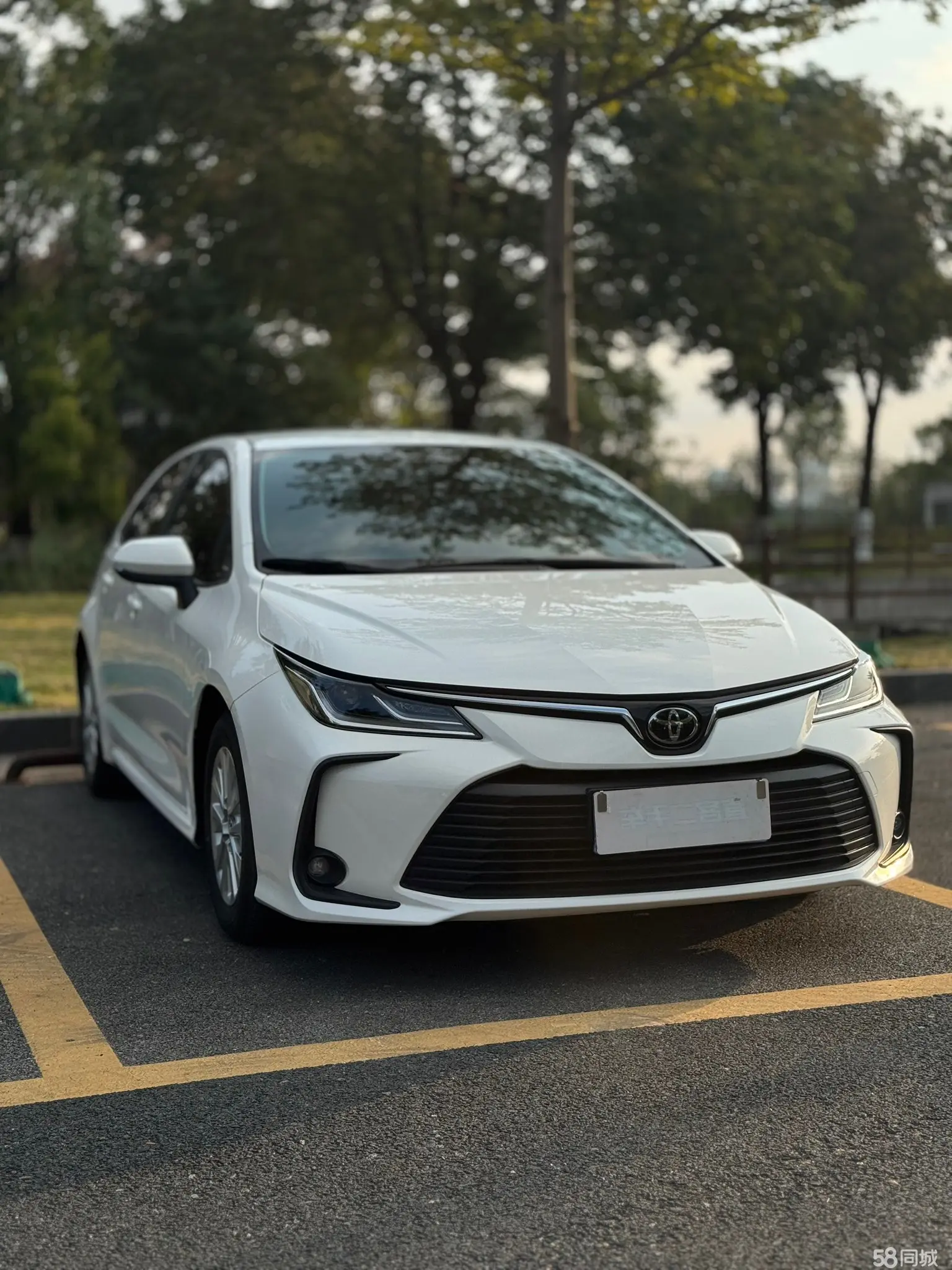 Toyota Corolla 2022 #3 Toyota Corolla 2022 car image #3