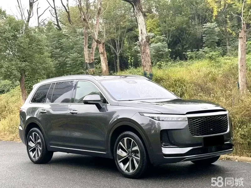 Li One 2021 imagen de coche #3