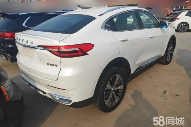 Haval F7x 2020 car image #3