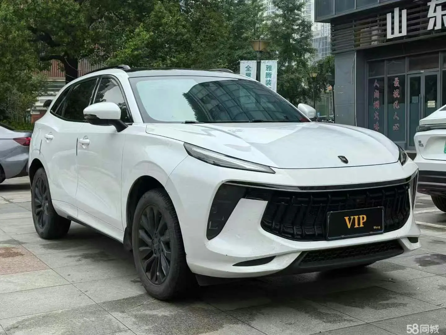 Forthing T5 EVO 2022 imagem de carro #3