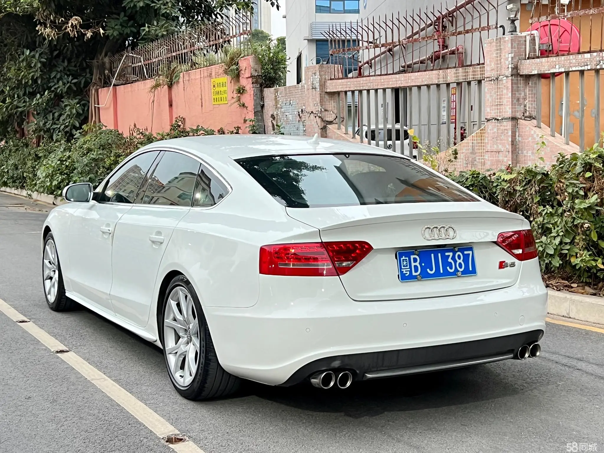 Audi S5 2011 #3 Audi S5 2011 صورة سيارة #3