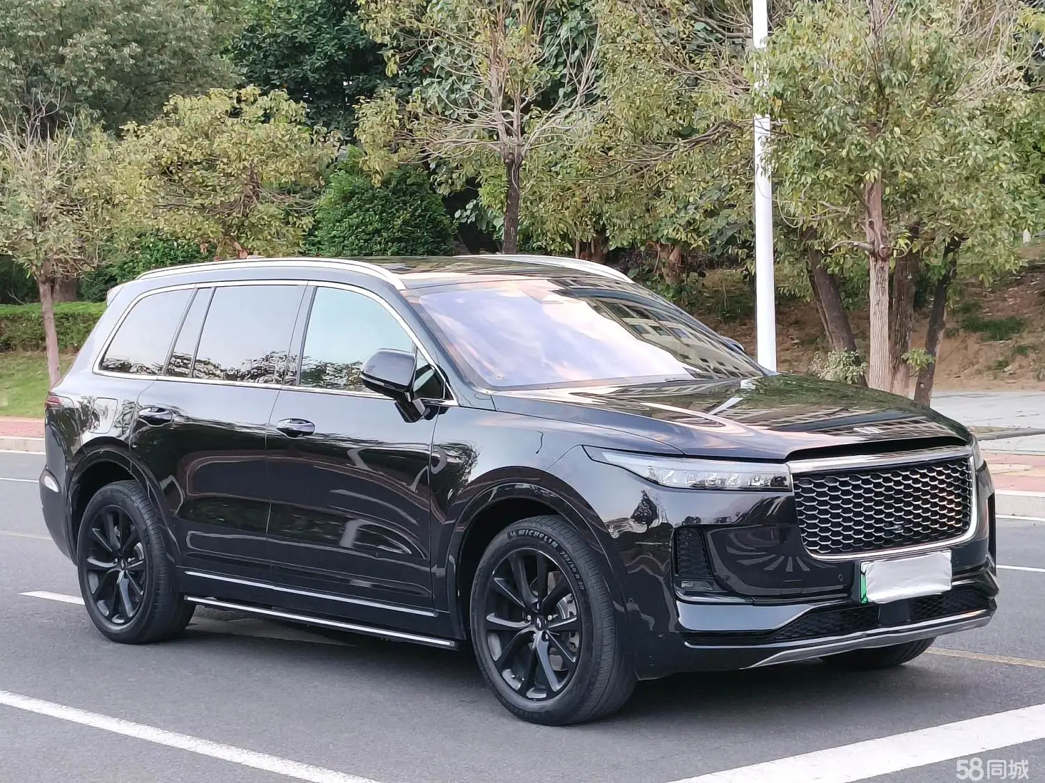 Li One 2021 imagen de coche #3