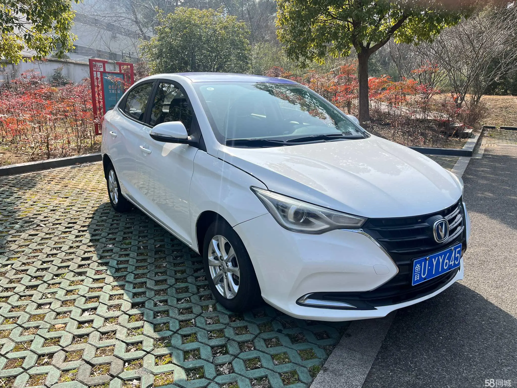 Changan Alsvin 2020 immagine di auto #3