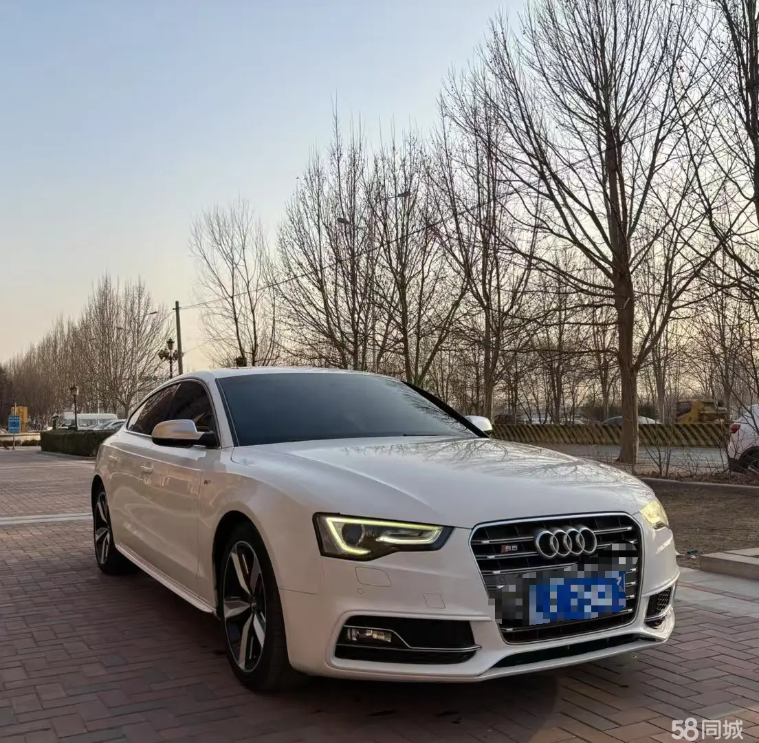 Audi S5 2023 #3 Audi S5 2023 car image #3