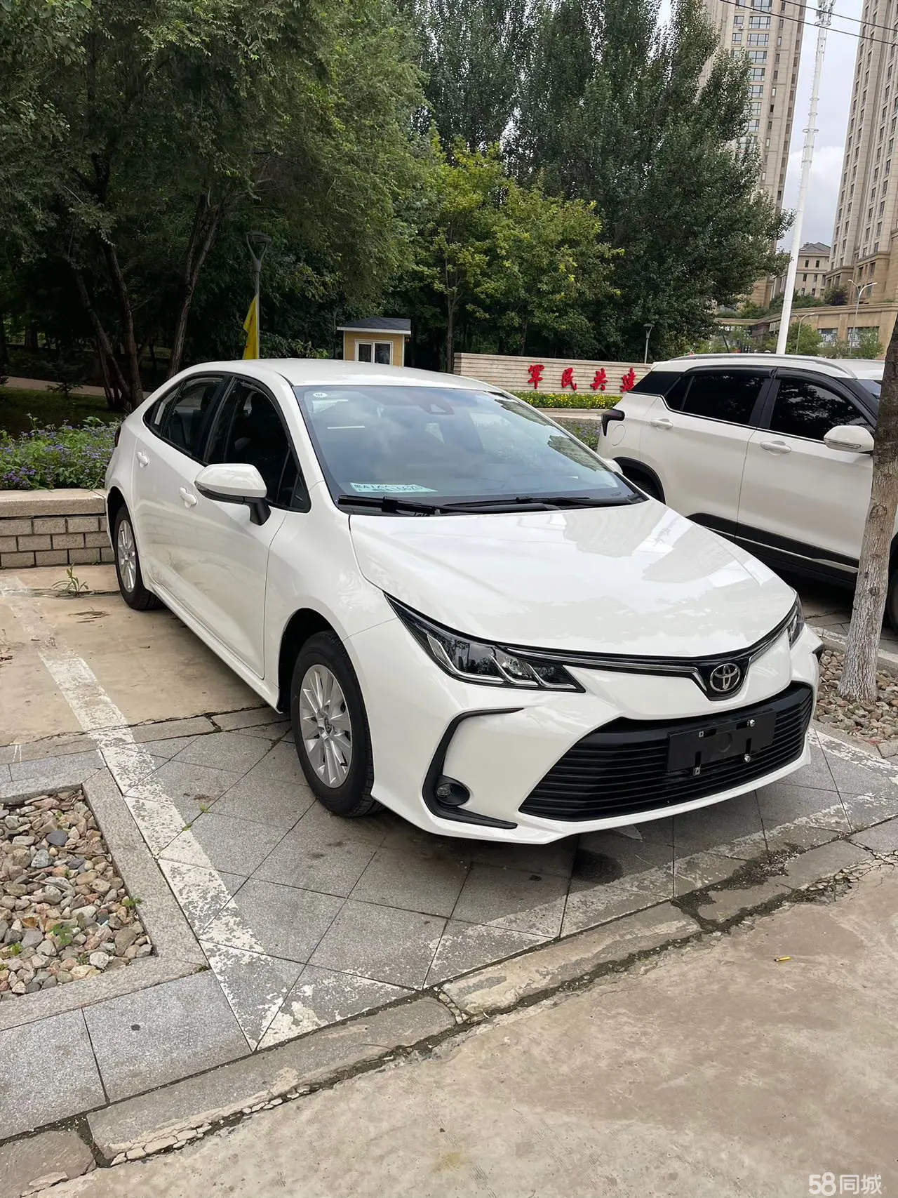 丰田 卡罗拉 2024 汽车图片 #3