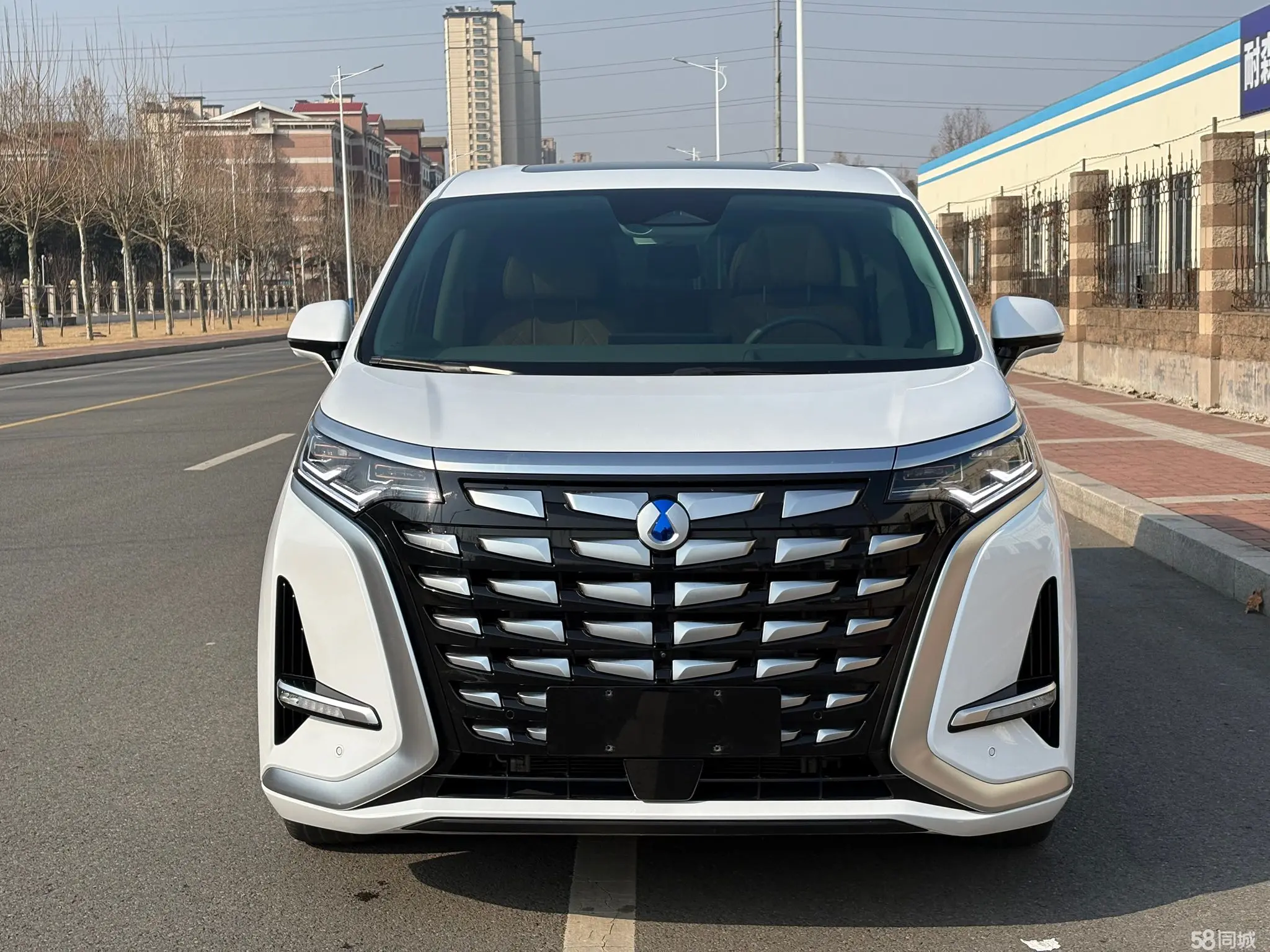 Denza D9 2023 image de voiture #3