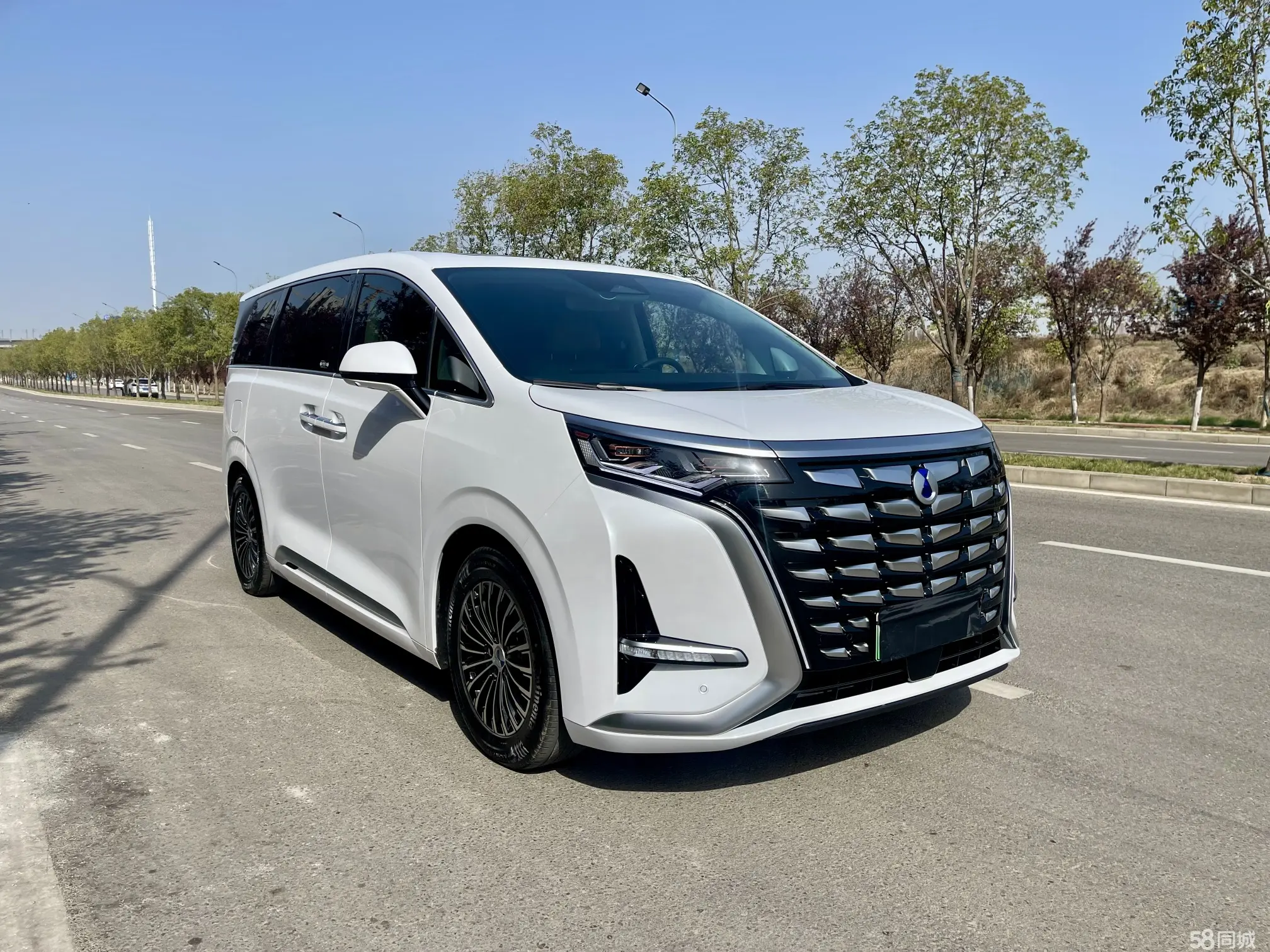 Denza D9 2024 immagine di auto #3