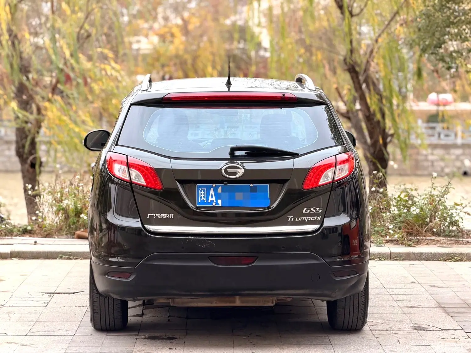 GAC Trumpchi GS5 2012 car image #3