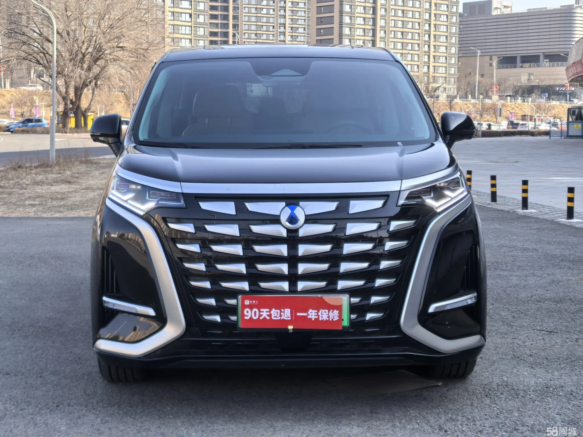 Denza D9 2024 image de voiture #3