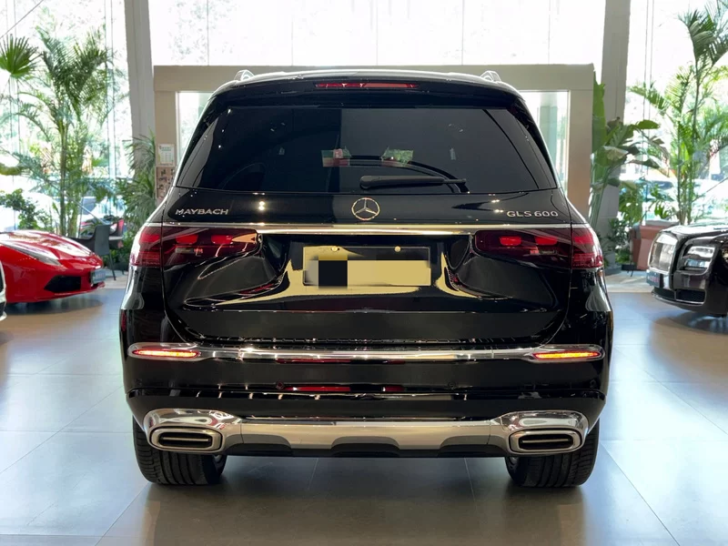 Mercedes-Benz Maybach GLS 2024 صورة سيارة #3